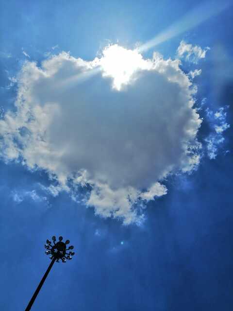 Sunny day with cloud